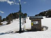 Bassots - Tellerlift