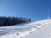 Steilere Piste am Kißlingerlift