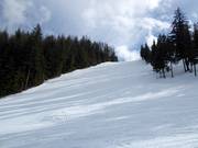 Piste Bronco's Pitch