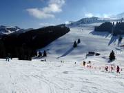 Blick auf die breiten Pisten am Mittleren Sudelfeld
