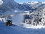 Vorratsbeschneiung am Pistenrand