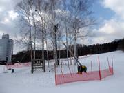 Schneilanze in Furano