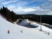 Speicherteich am Arber