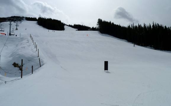 Bestes Skigebiet in den Purcell Mountains – Testbericht Panorama