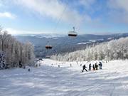 Blick vom Almberg über den Bayerischen Wald