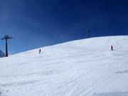 Breite Piste Nr. 3 Wilder Mann