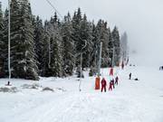 Kosodrevina-Lúčka - Tellerlift