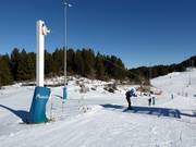 Telecorda Freestyle - Seillift/Babylift mit niederer Seilführung