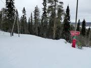 Sehr leichter Ziehweg im Skigebiet Ounasvaara