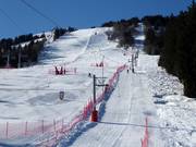 Epicéa - Tellerlift