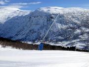 Schneilanze an der Piste 5