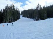 Leichte Piste Windjammer