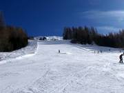 Schwarze Piste Grünboden