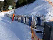 Horberg Shuttle 2 - Förderband/Zauberteppich mit Überdachung