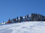 Schneilanze in St. Johann in Tirol