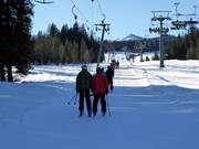 Roßalmlift - Schlepplift mit T-Bügel/Anker