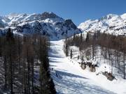 Piste Zadnji Vogel Nr. 10
