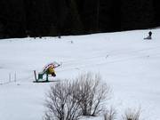 Veliko Polje 1 - Seillift/Babylift mit niederer Seilführung