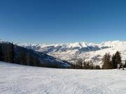 Genug Platz für alle