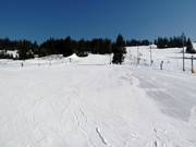 Übungspiste im Talbereich