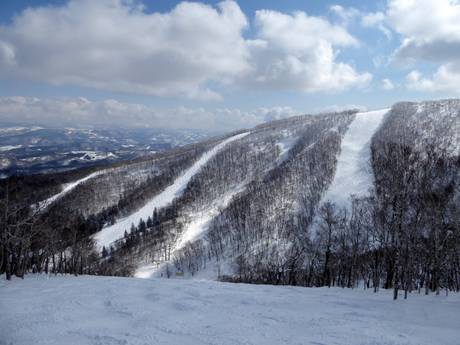 Skigebiete für Könner und Freeriding Japan – Könner, Freerider Rusutsu