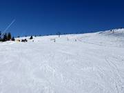 Leichte Piste Zirmes