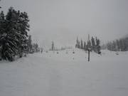 Pisten am Armstrong Express