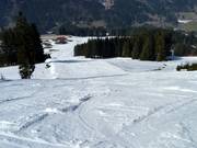Abfahrt Märchenwiese - längste Piste im Skigebiet