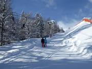Brandtal-Schlepplift - Schlepplift mit T-Bügel/Anker