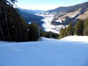 Schwere Piste Raut-Vierschach