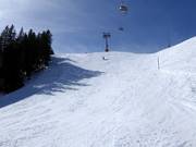 Weltcup-Riesenslalom-Piste am Chuenisbärgli in Adelboden 