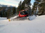 Pistenbully bei der Arbeit