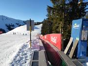 Märchenwald - Förderband/Zauberteppich