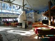 Arena-Bar in der Weltcuparena Zauchensee