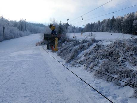Familienskigebiete Oberpfalz – Familien und Kinder Hohenbogen – Neukirchen bei Hl. Blut