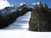 Breite und steile Waldabfahrt