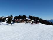 Berghütten Tipp Jochstub'n