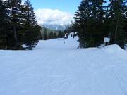 Leichte Piste Panorama am Black Mountain
