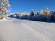 Sehr gute Pistenpräparierung in Mitterdorf