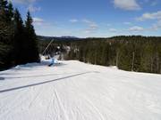 Leichte Abfahrt Târnbakken