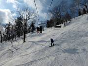 Tiefschneepiste durch lichte Wälder