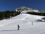 Piste Oberholz