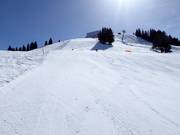 Sportliche Sonnenpisten am oberen Chuenisbärgli