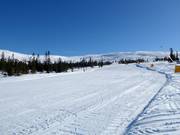 Leichte Piste Nr. 45