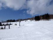 Ende der Pisten Eva und Bambi