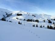 Tiefschneehänge zwischen Lavey und Sillerenbühl