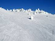 Crystal Run durch die Crystal Bowl