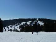 Blick vom Zeller auf Grafenmatt