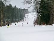 Blick entlang des Parallelliftes und der Einersesselbahn