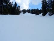 Abfahrt Manning am Mystery Peak Express